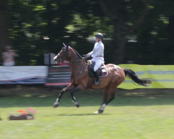 Reitturnier Nienburg 2021