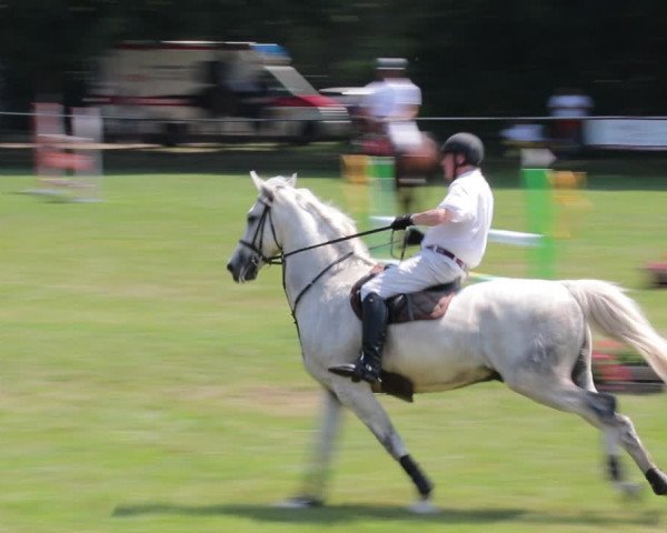 Reitturnier Nienburg 2021