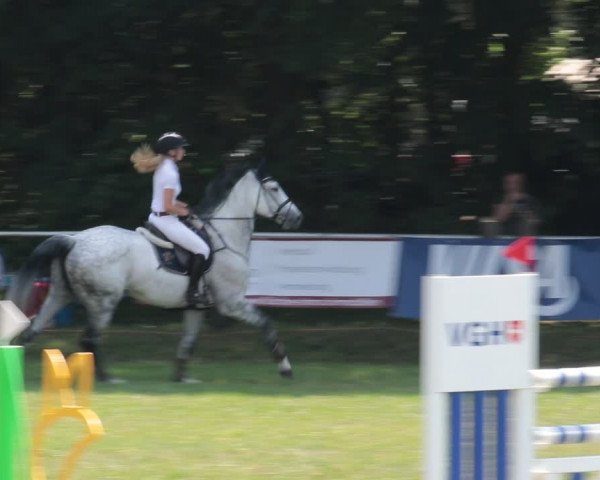 Reitturnier Nienburg 2021