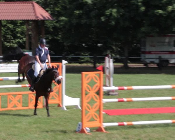 Reitturnier Nienburg 2021