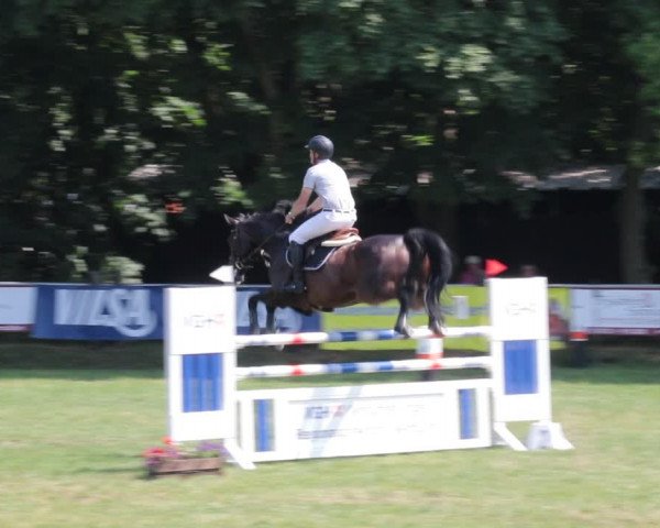 Reitturnier Nienburg 2021