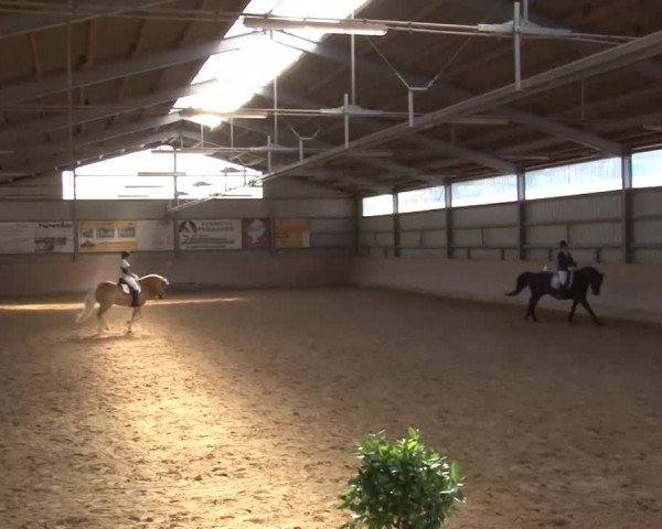 Reitturnier Bad Windsheim/Mfr. 2021