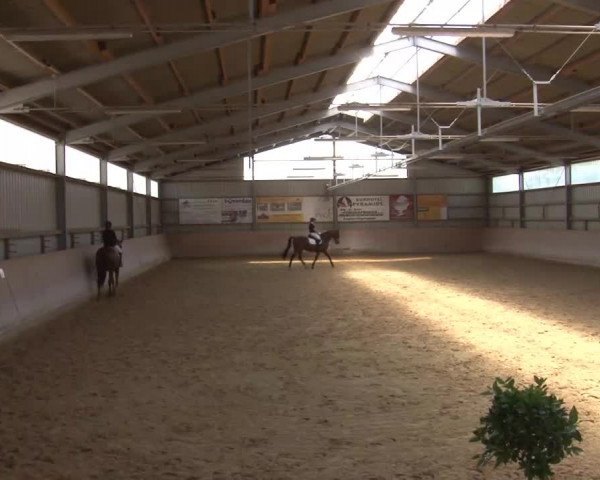 Reitturnier Bad Windsheim/Mfr. 2021