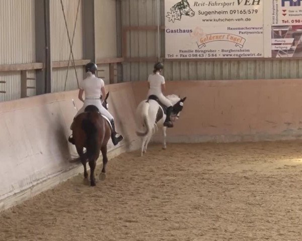 Reitturnier Bad Windsheim/Mfr. 2021