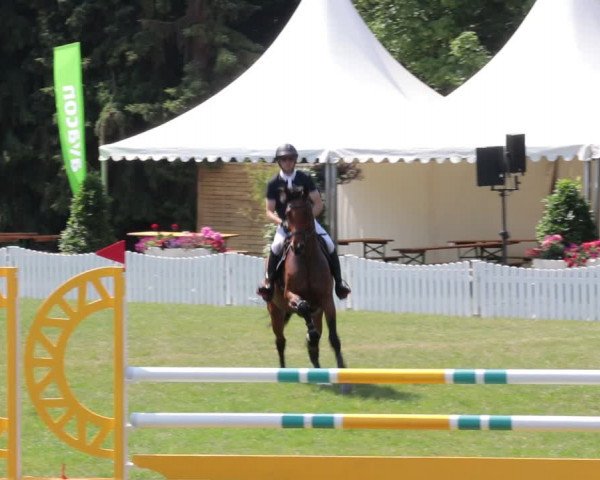 Reitturnier Nienburg 2021