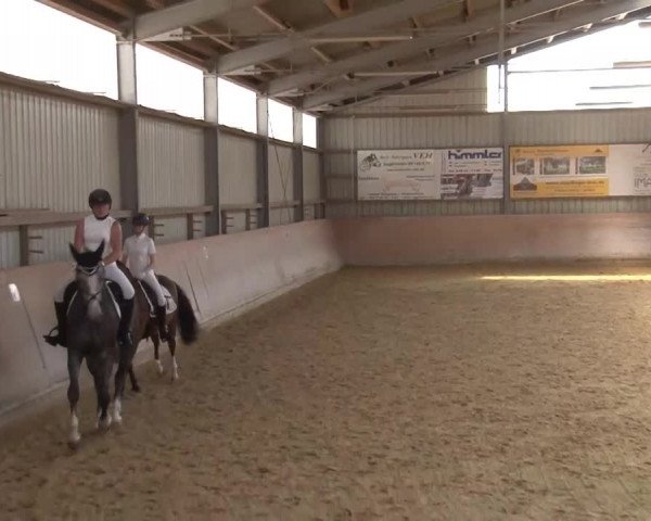 Reitturnier Bad Windsheim/Mfr. 2021