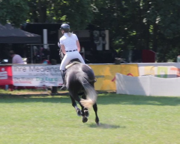 Reitturnier Nienburg 2021