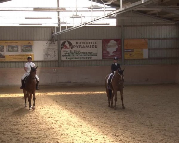Reitturnier Bad Windsheim/Mfr. 2021