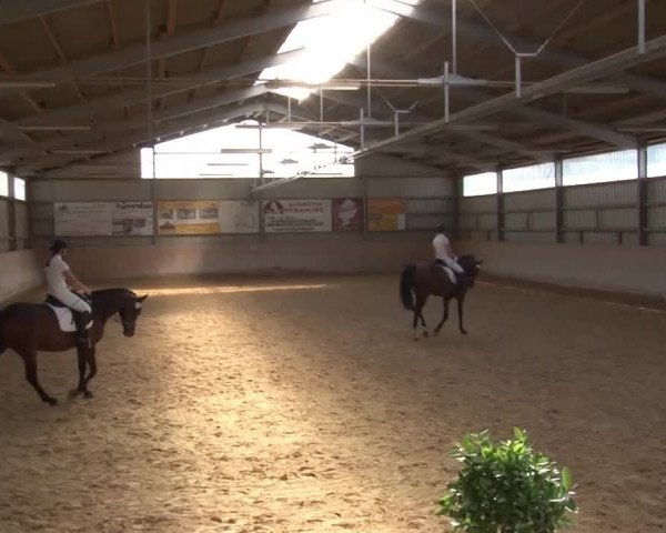Reitturnier Bad Windsheim/Mfr. 2021