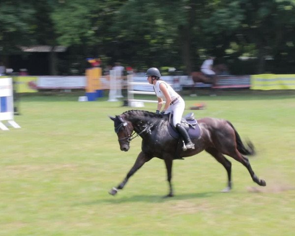 Reitturnier Nienburg 2021