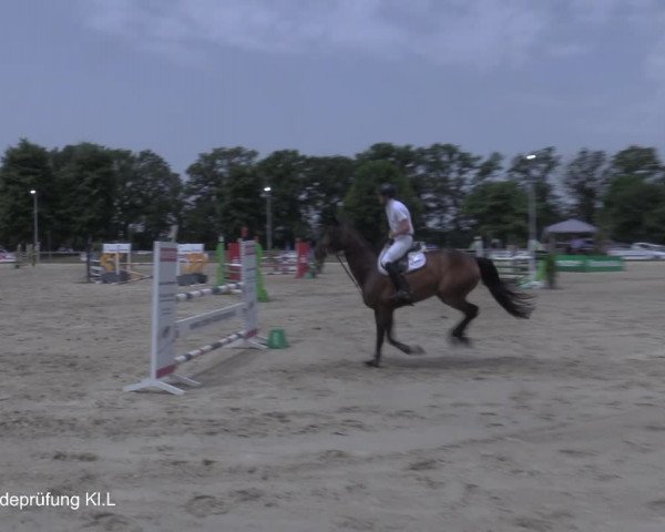 Reitturnier Coesfeld/Lette 2021