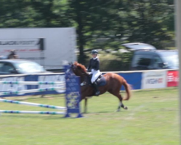 Reitturnier Nienburg 2021