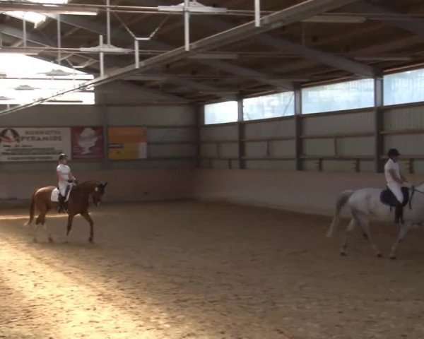 Reitturnier Bad Windsheim/Mfr. 2021