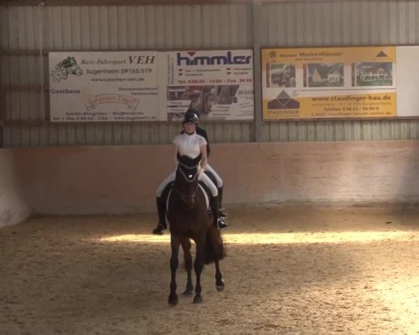Reitturnier Bad Windsheim/Mfr. 2021