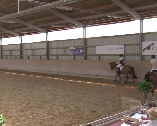 Reitturnier Bad Windsheim/Mfr. 2021