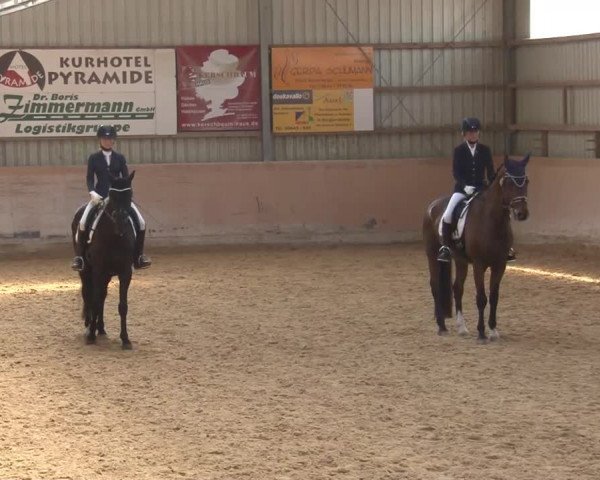 Reitturnier Bad Windsheim/Mfr. 2021