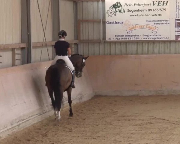 Reitturnier Bad Windsheim/Mfr. 2021