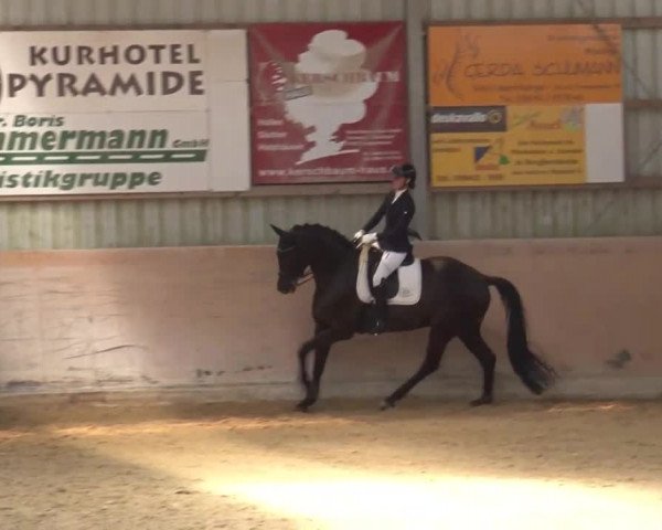Reitturnier Bad Windsheim/Mfr. 2021