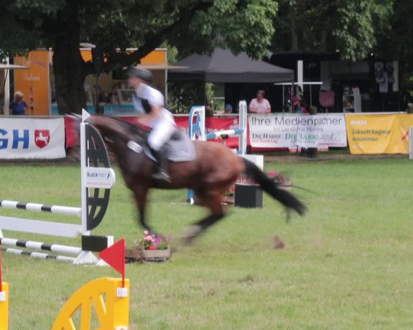 Reitturnier Nienburg 2021