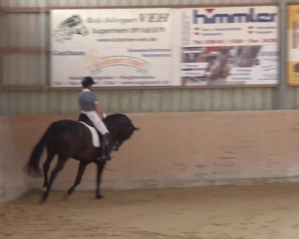 Reitturnier Bad Windsheim/Mfr. 2021