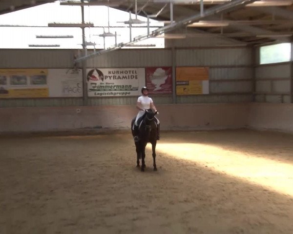Reitturnier Bad Windsheim/Mfr. 2021