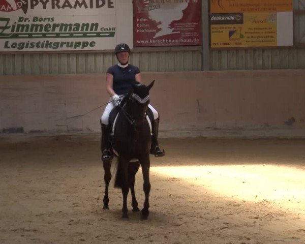 Reitturnier Bad Windsheim/Mfr. 2021