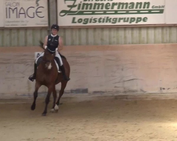 Reitturnier Bad Windsheim/Mfr. 2021
