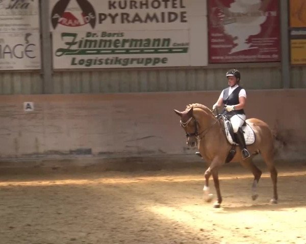 Reitturnier Bad Windsheim/Mfr. 2021