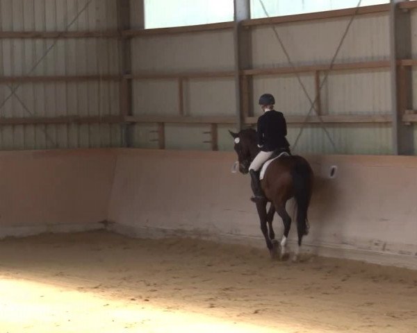 Reitturnier Bad Windsheim/Mfr. 2021