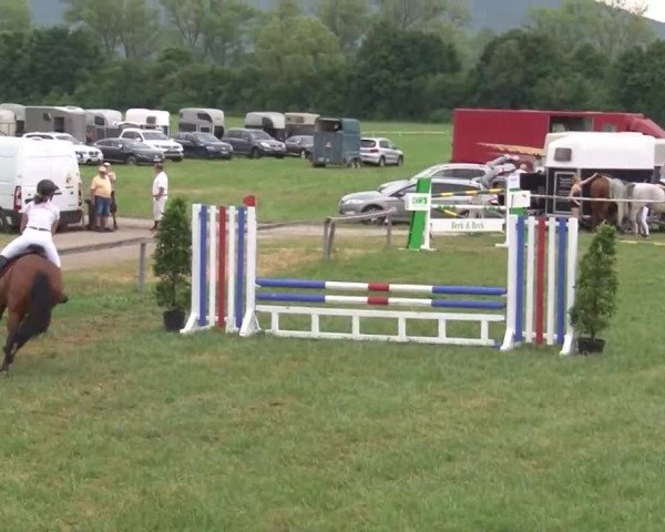 Reitturnier Bad Windsheim/Mfr. 2021