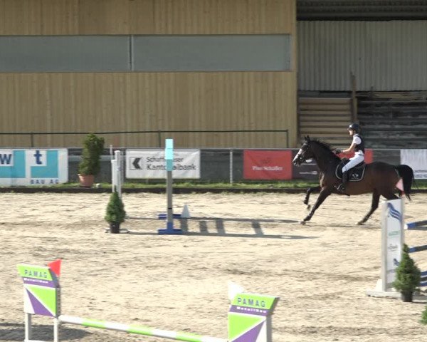 Reitturnier Schaffhausen 2021