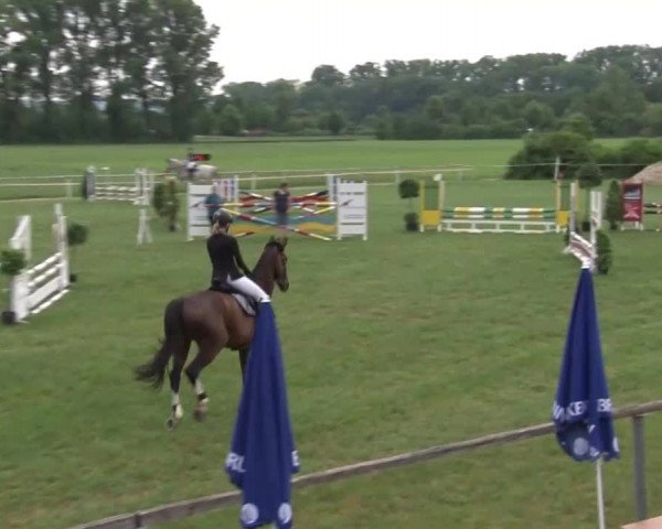Reitturnier Bad Windsheim/Mfr. 2021