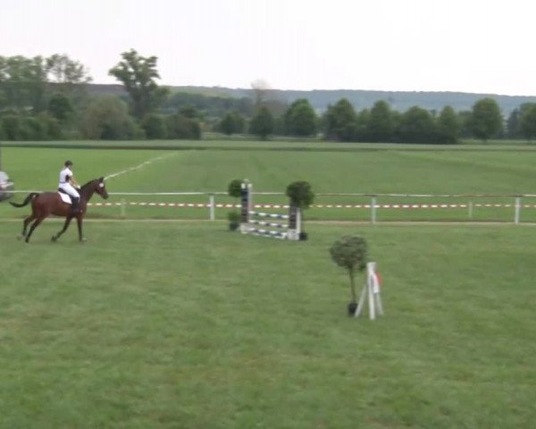 Reitturnier Bad Windsheim/Mfr. 2021