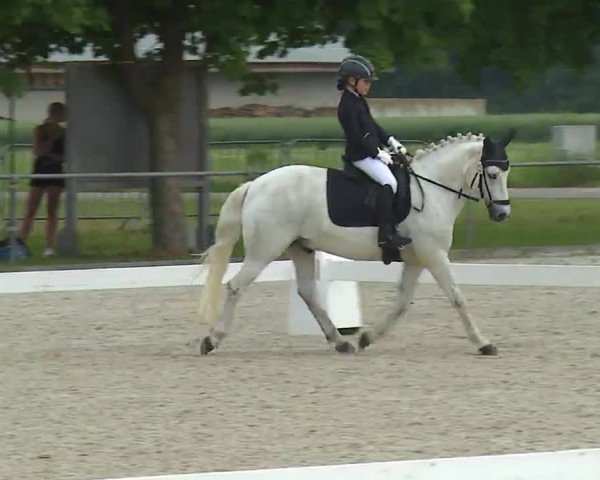 Reitturnier Rot am See- Musdorf 2021