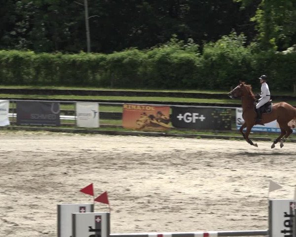Reitturnier Schaffhausen 2021