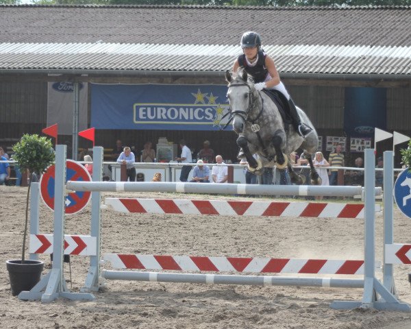 jumper Gismo 613 (Pony without race description, 2002)