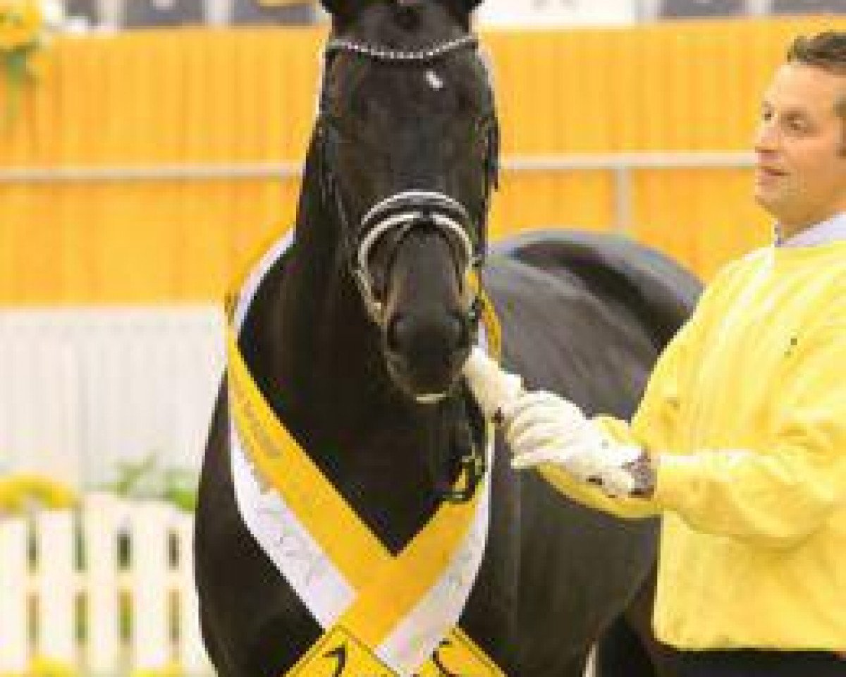 stallion Bulgari Dream (Hanoverian, 2012, from Benetton Dream FRH 1301)