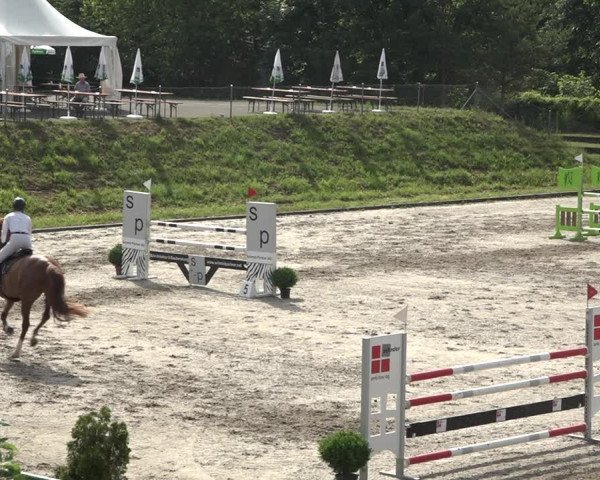 Reitturnier Schaffhausen 2021
