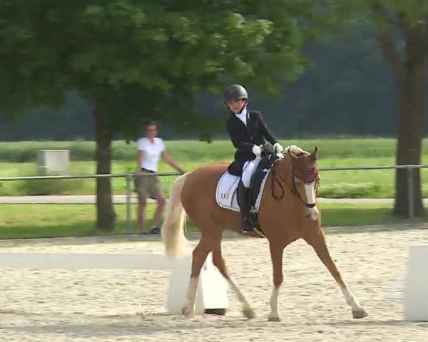 Reitturnier Rot am See- Musdorf 2021