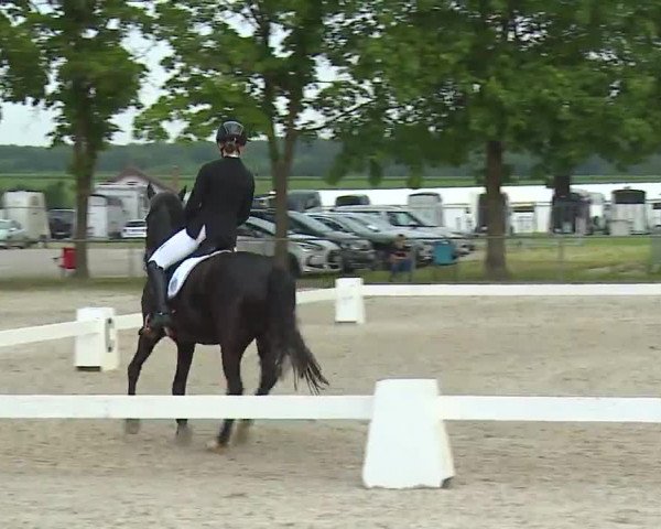Reitturnier Rot am See- Musdorf 2021