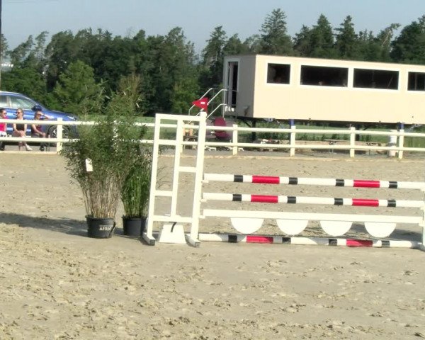 Reitturnier Nordstetten- Horb 2021