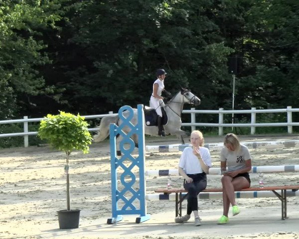 Reitturnier Nordstetten- Horb 2021