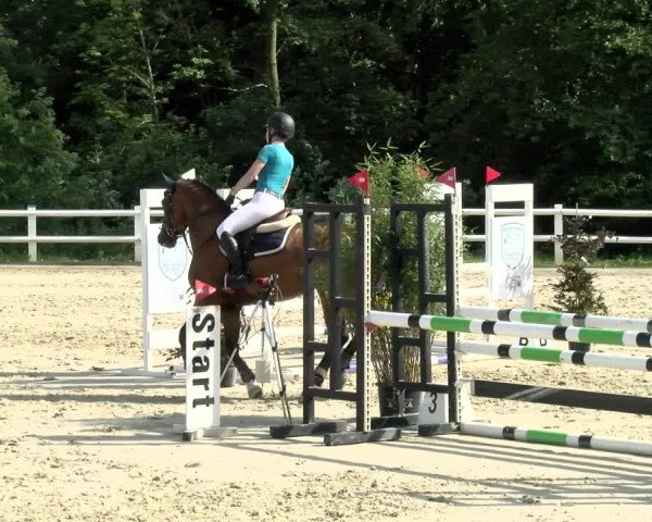 Reitturnier Nordstetten- Horb 2021