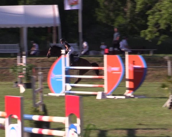 Reitturnier Reitstadion Löbnitz 2021