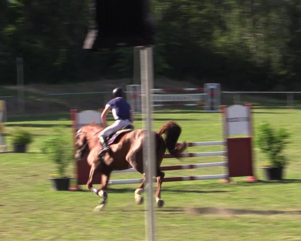 Reitturnier Reitstadion Löbnitz 2021