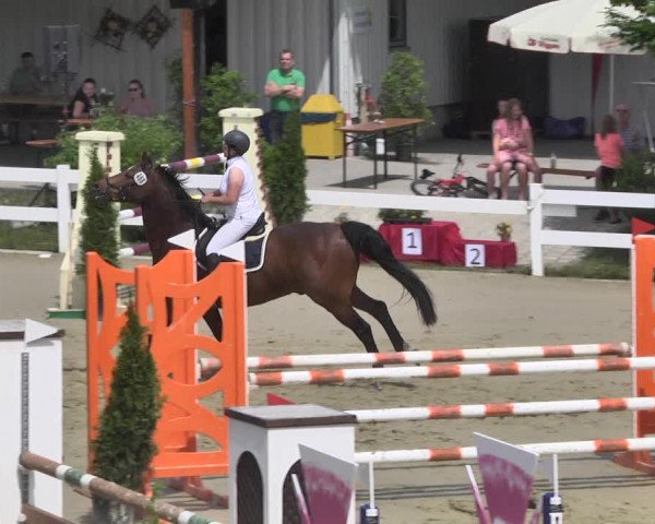 Reitturnier - Leutkirch-Diepoldshofen 2021