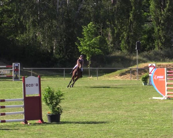 Reitturnier Reitstadion Löbnitz 2021