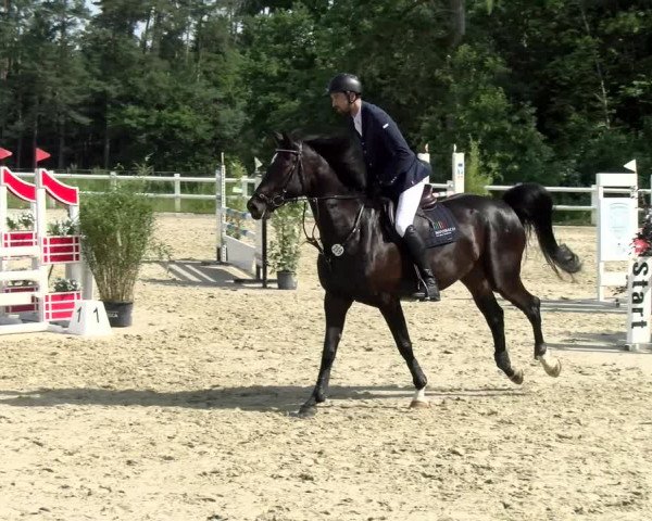 Reitturnier Nordstetten- Horb 2021