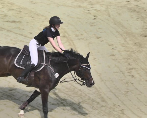 Reitturnier - Leutkirch-Diepoldshofen 2021