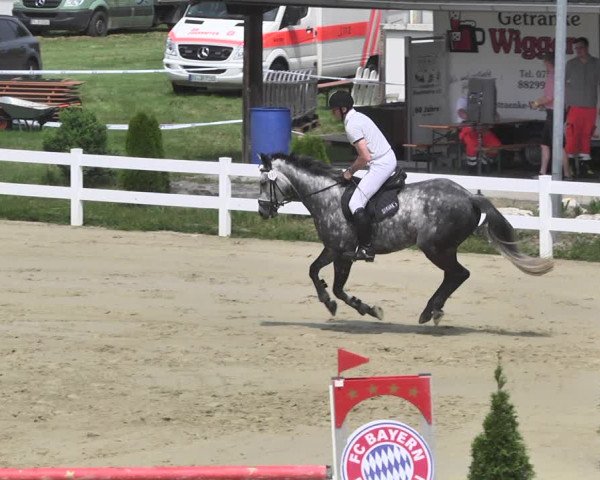 Reitturnier - Leutkirch-Diepoldshofen 2021
